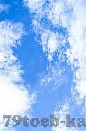 星空之下，畅享体育激情——星空·体育app下载官网版下载指南